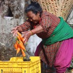 ढुंगेका किसानलाई चुनावले छोएन
